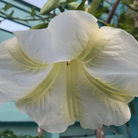 Hermiinstay - With Sauna And Hot Tub Tartu