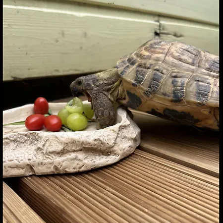 Hermiinstay - With Sauna And Hot Tub *