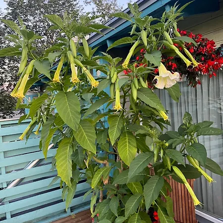 Appartement Hermiinstay - With Sauna And Hot Tub