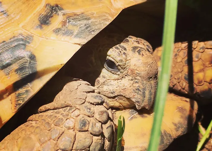 Hermiinstay - With Sauna And Hot Tub Tartu