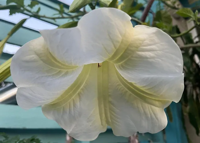 Hermiinstay - With Sauna And Hot Tub Tartu