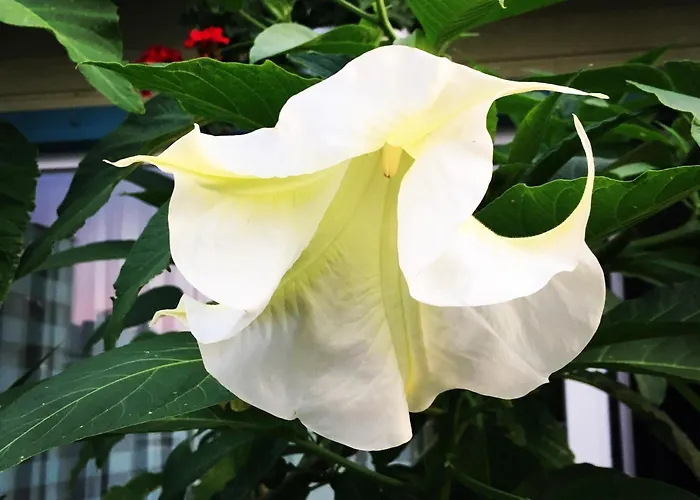 Hermiinstay - With Sauna And Hot Tub