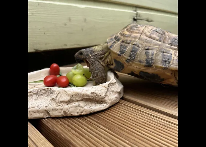 Hermiinstay - With Sauna And Hot Tub *
