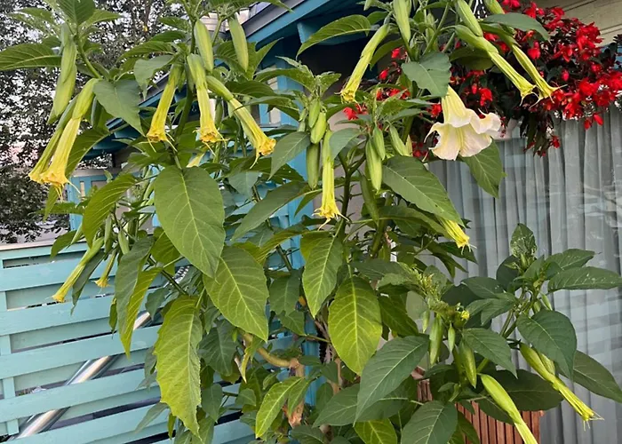 Appartement Hermiinstay - With Sauna And Hot Tub